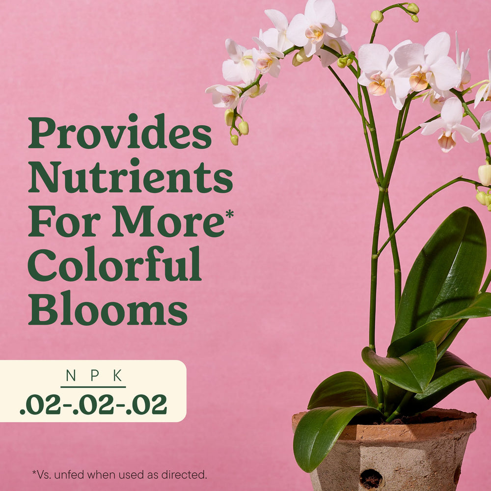 Miracle-Gro Phalaenopsis orchid example with mist compatibility
