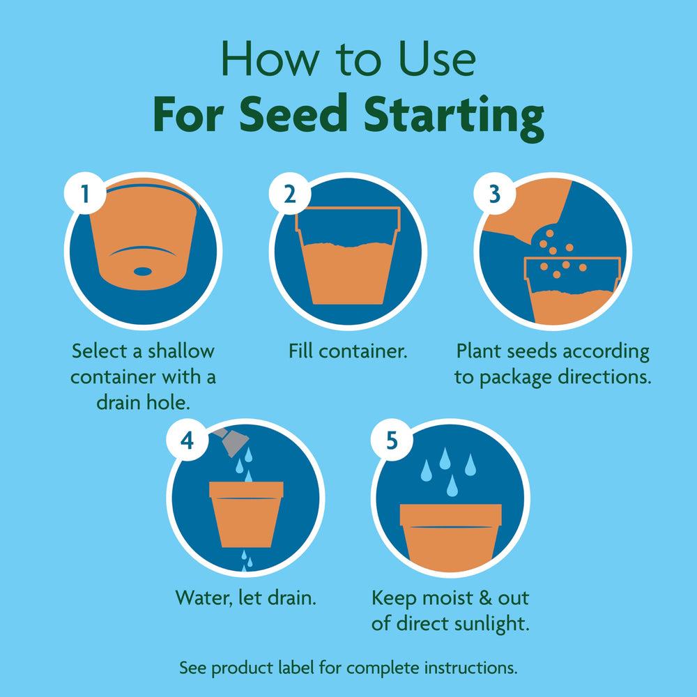 Starting cuttings in a container with Miracle-Gro Seed Starting Potting Mix