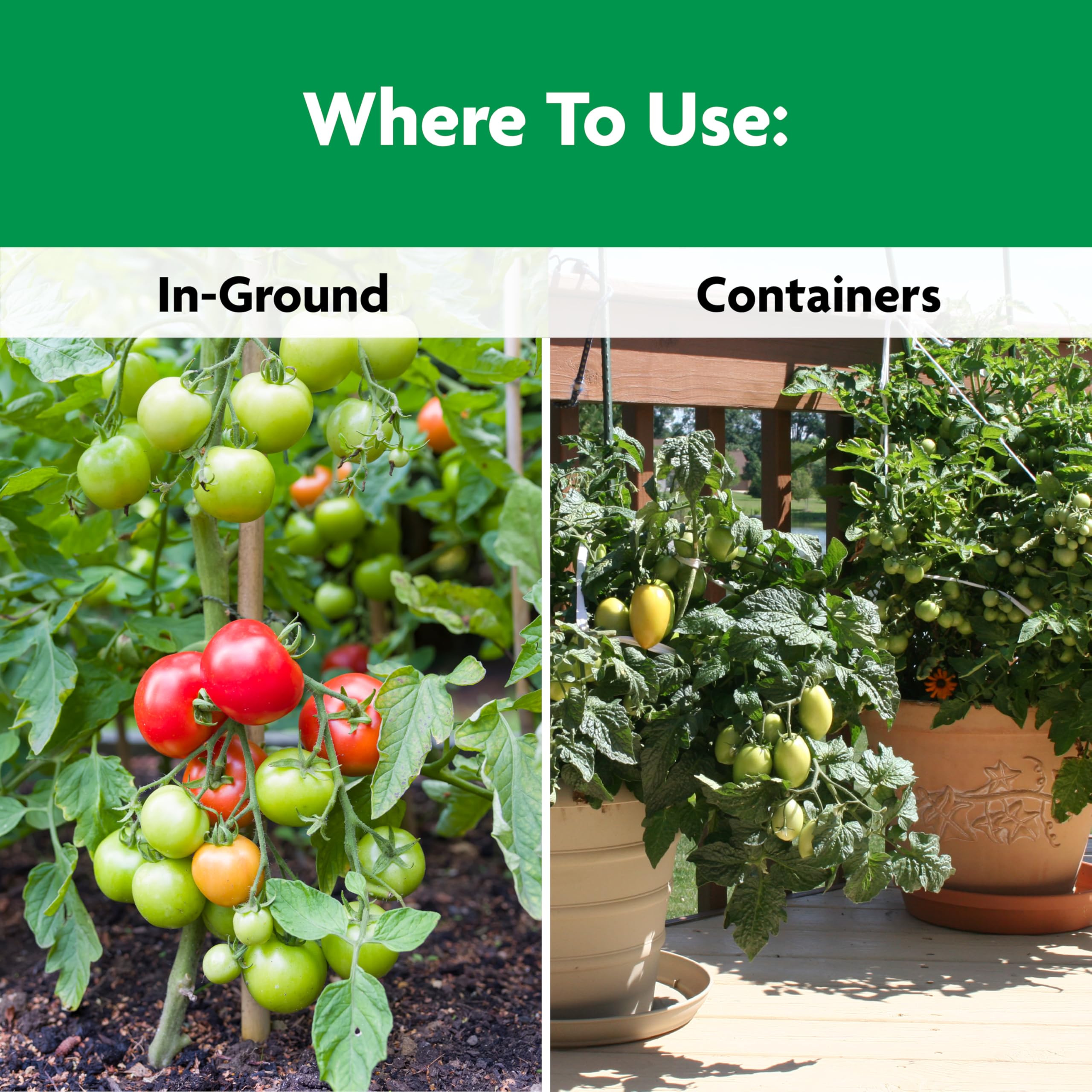 Calcium in Miracle-Gro Shake 'N Feed strengthens plant cell walls