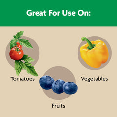 Applied to established potted plants for steady feeding