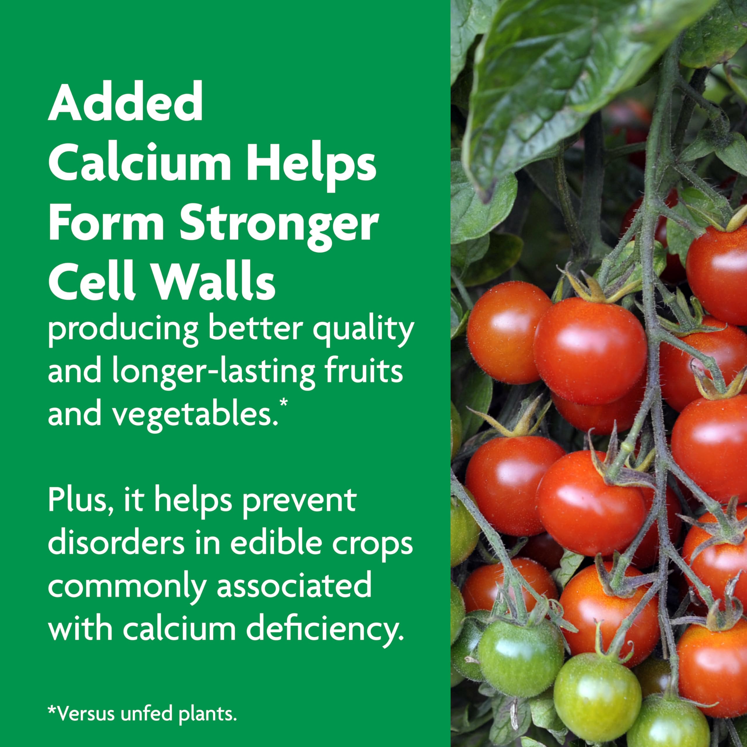 Suitable for outdoor in-ground beds and container plants