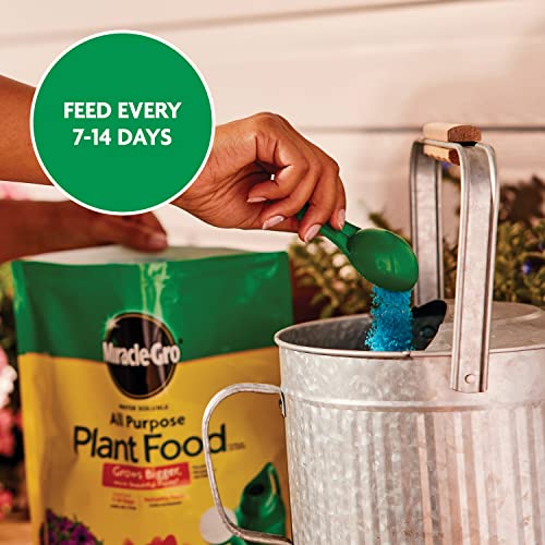 Miracle-Gro nourishes roots by soaking soil at the base