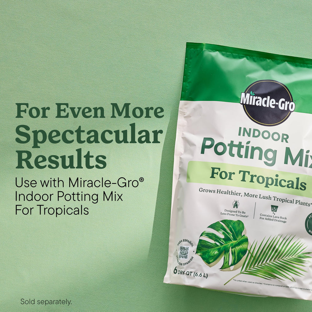 Miracle-Gro Tropicals palm leaves reflect healthy growth from tropical plant feeding.