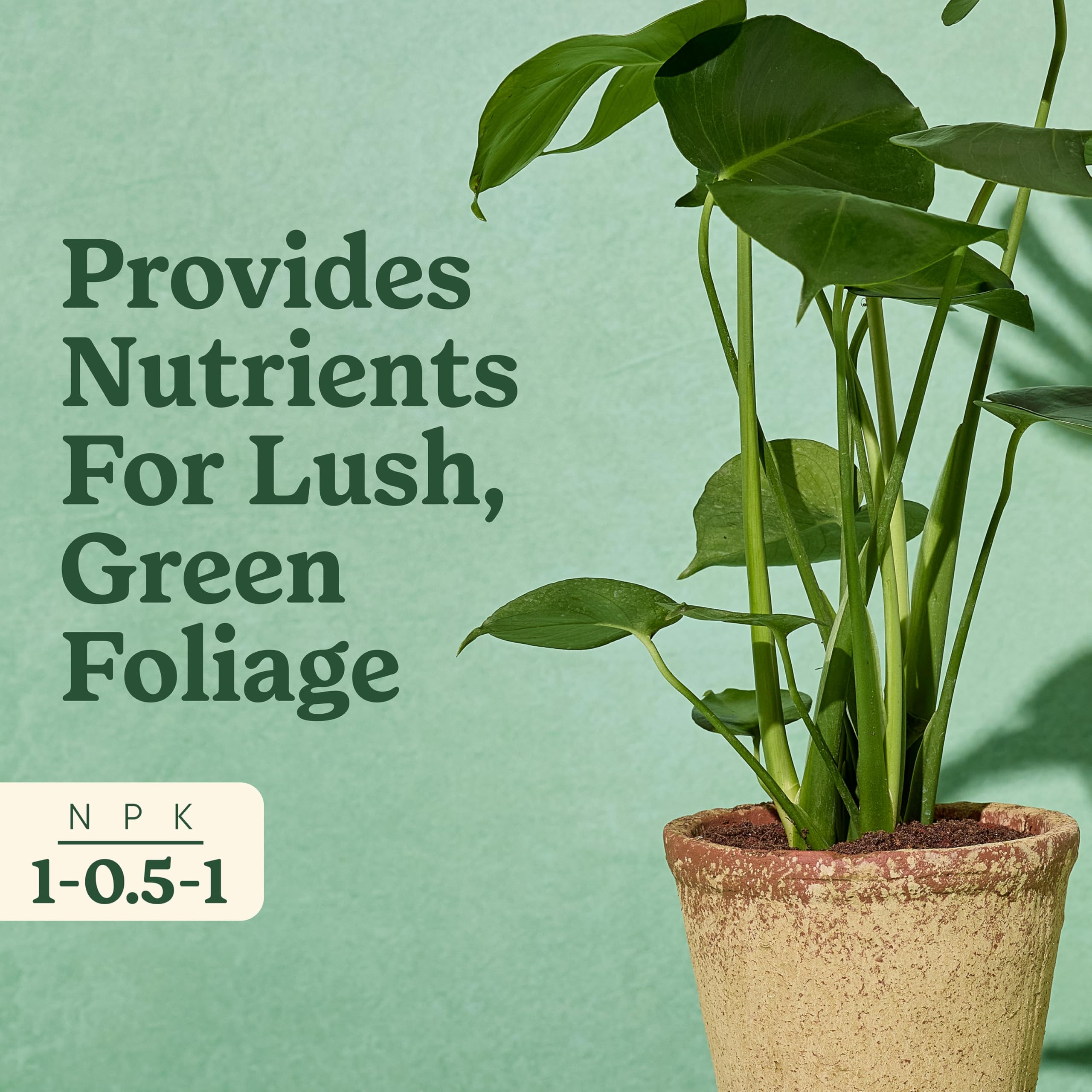 Miracle-Gro Tropicals soil feeding action shows direct-to-root nourishment.
