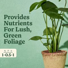 Miracle-Gro Tropicals soil feeding action shows direct-to-root nourishment.