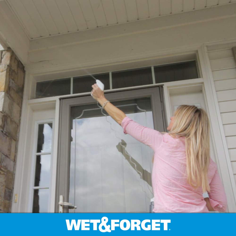 Miss Muffet's Revenge cobweb removal on entryways and eaves