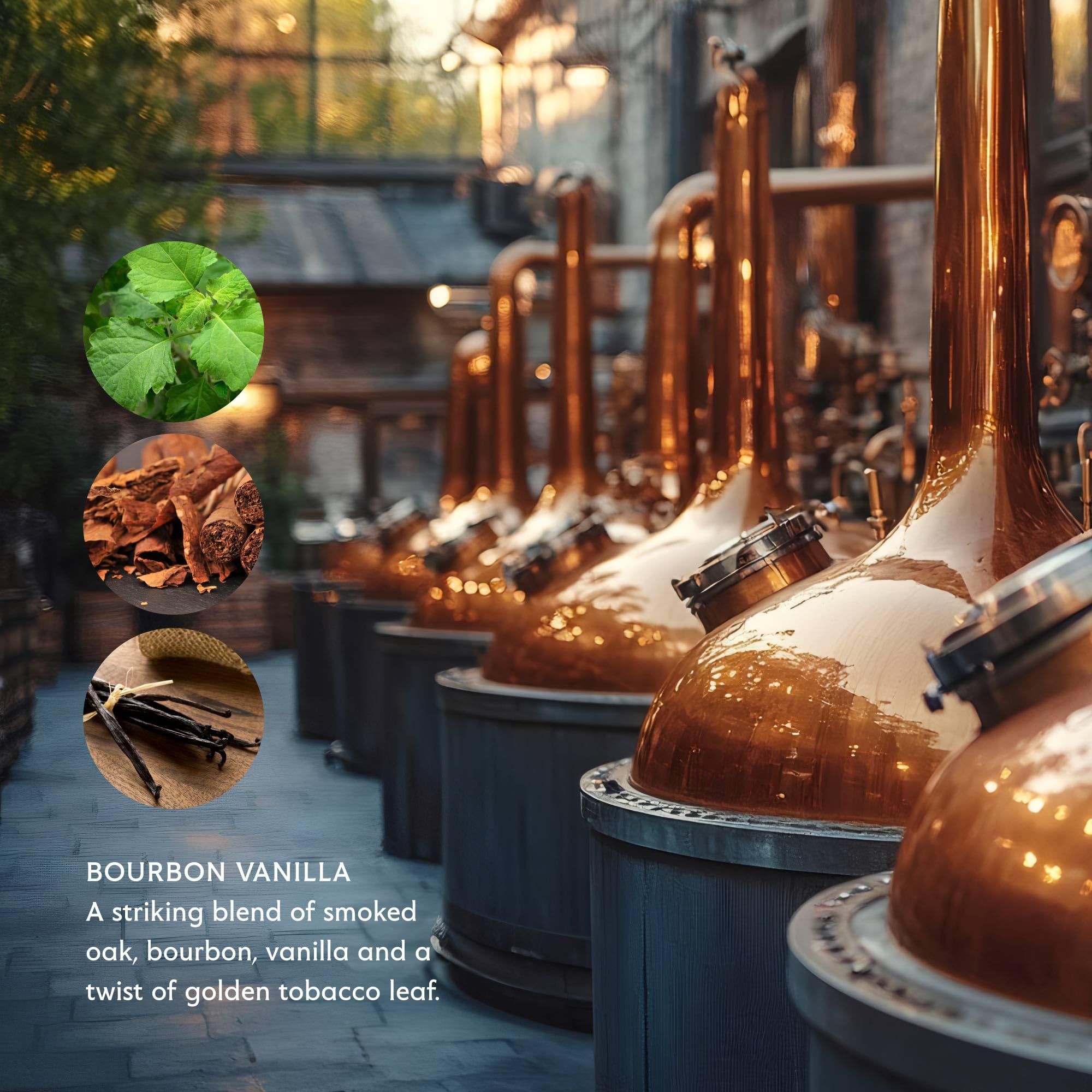Made in France label on Mistral soap highlights premium craftsmanship.