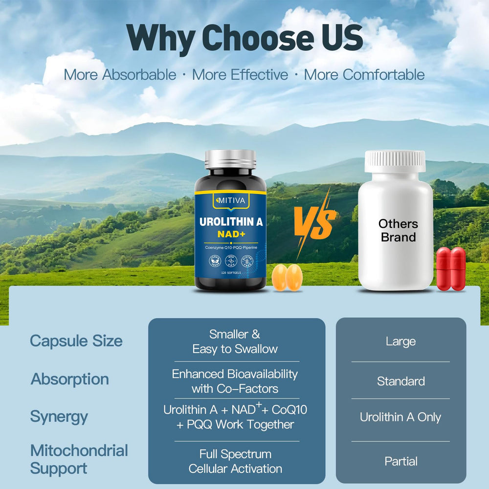 Active adults using MITIVA Urolithin A for daily energy and focus.