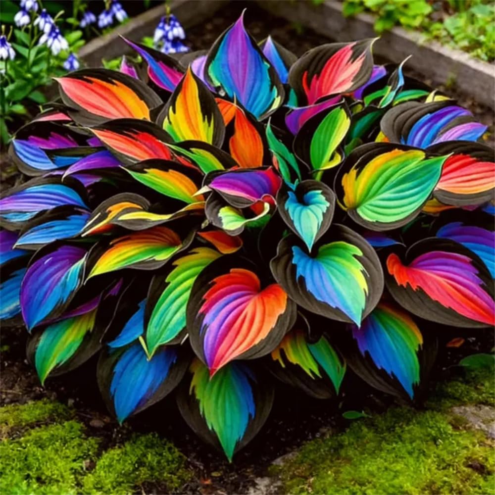 Low-maintenance perennials for USDA zones 3-9.
