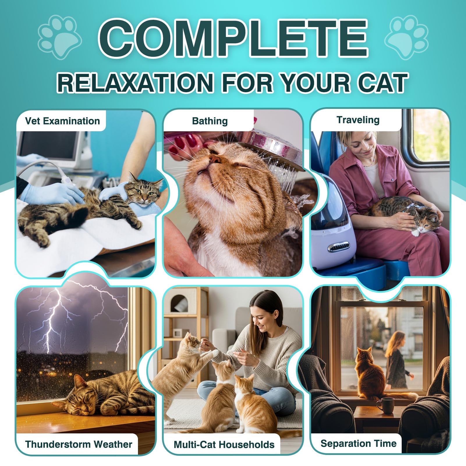 MNQAXZ cat calming treats chews close-up texture looks soft and palatable.