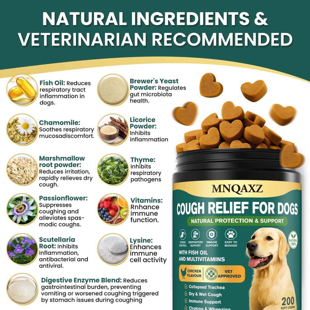 MNQAXZ Dog Cough Relief Chews tasting test of chicken flavor that dogs love