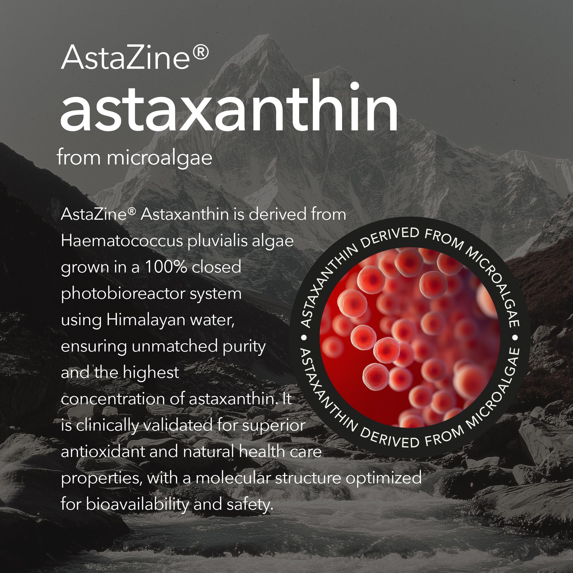 Mobisyn Astaxanthin-Turmeric capsules close-up emphasizing antioxidant pairing for daily defense.