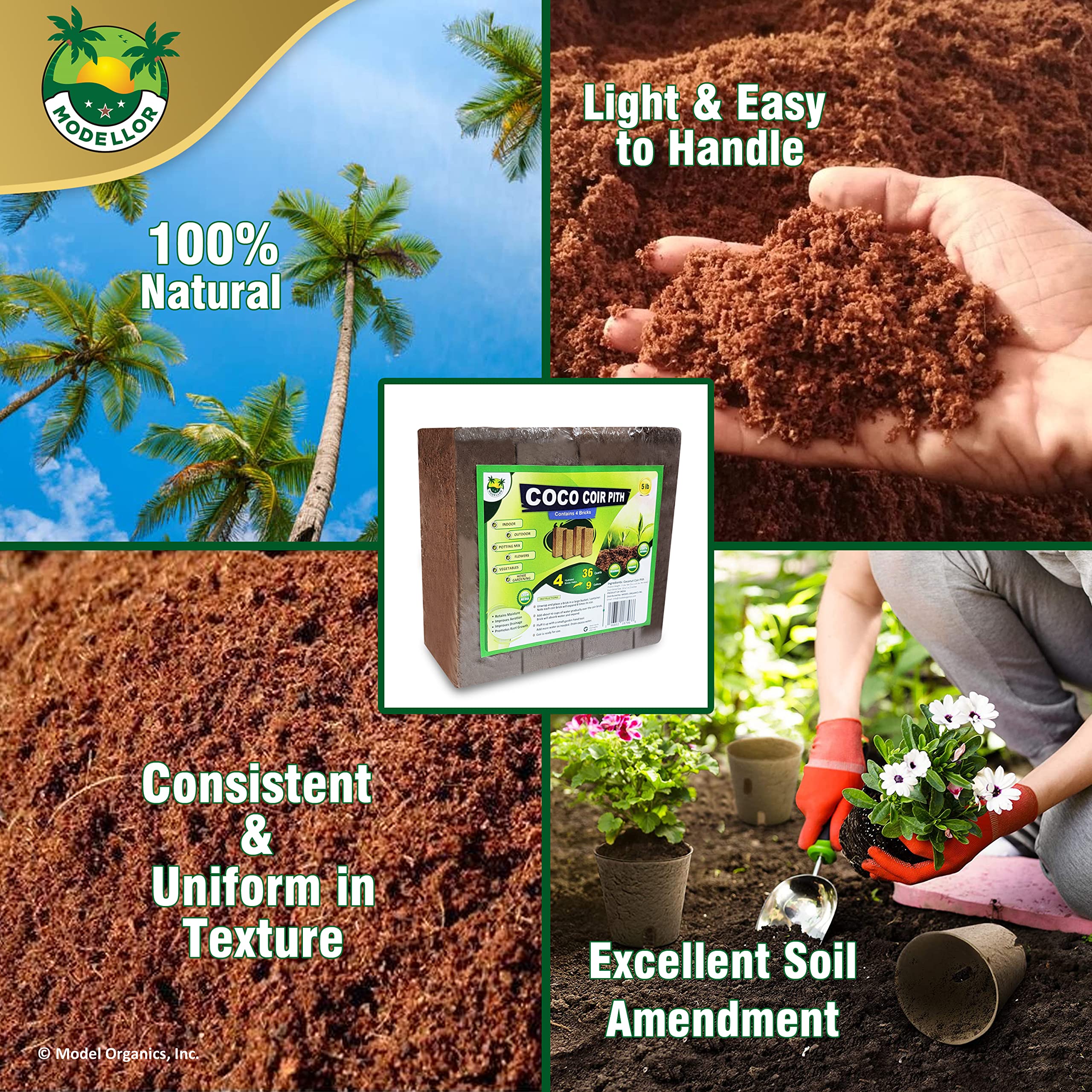 MODELLOR product trusted by hobbyists and professionals for consistent quality