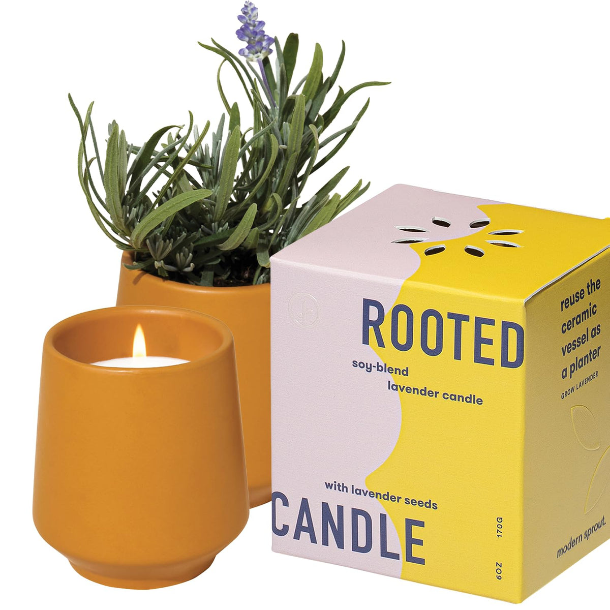 Modern Sprout 2-in-1 cedarwood candle vessel ready to become a lavender planter.