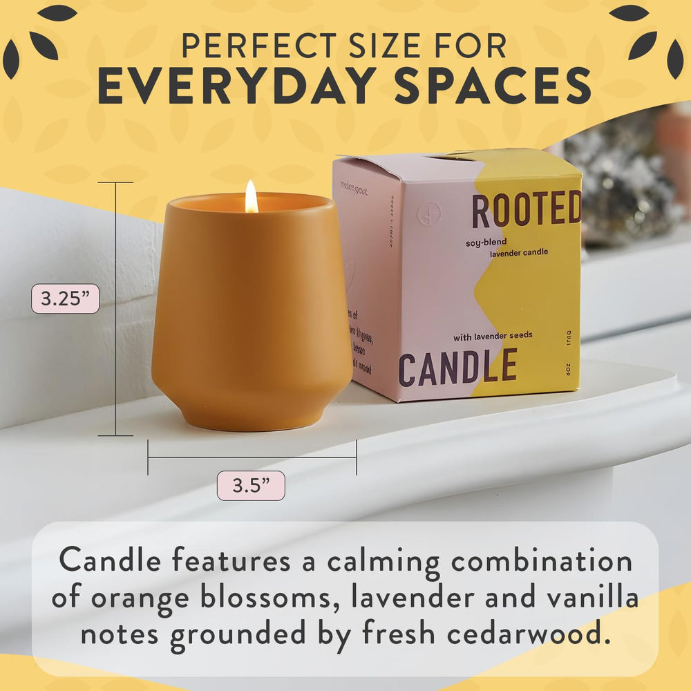 Modern Sprout candle vessel repurposed as a compact lavender planter.