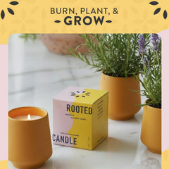 Modern Sprout matte glaze ceramic vessel doubles as a stylish planter.