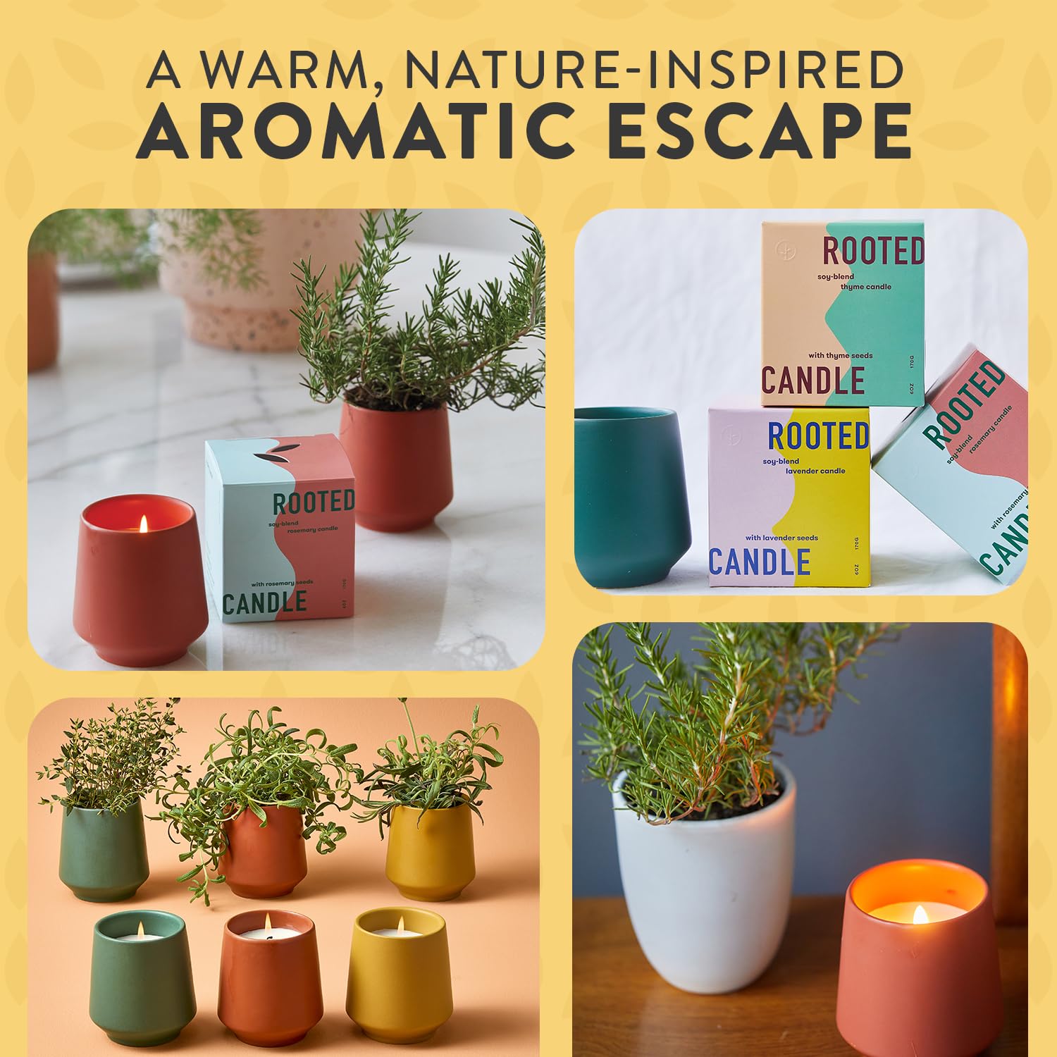 Modern Sprout plastic-free packaging supports sustainable gifting.