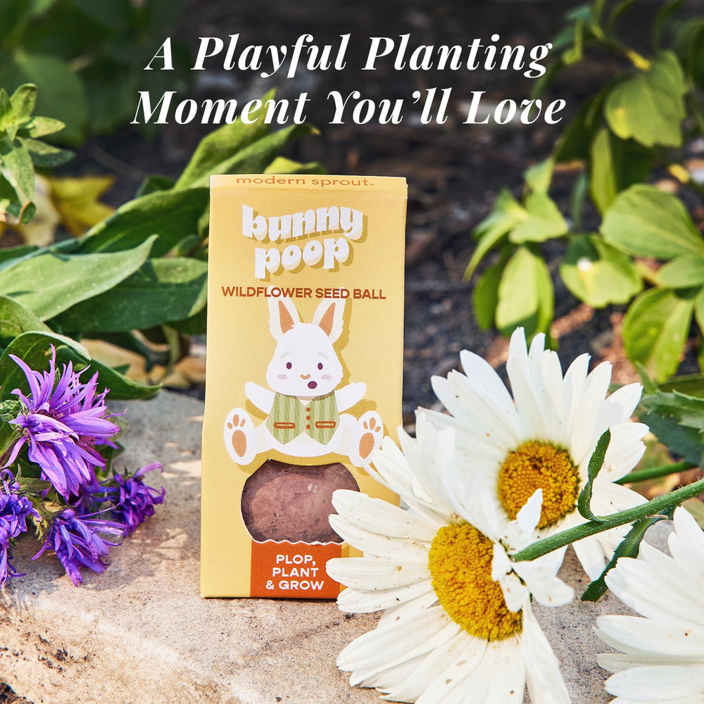 Modern Sprout Seed Ball Poops in a spring garden setup encourage effortless blooms.
