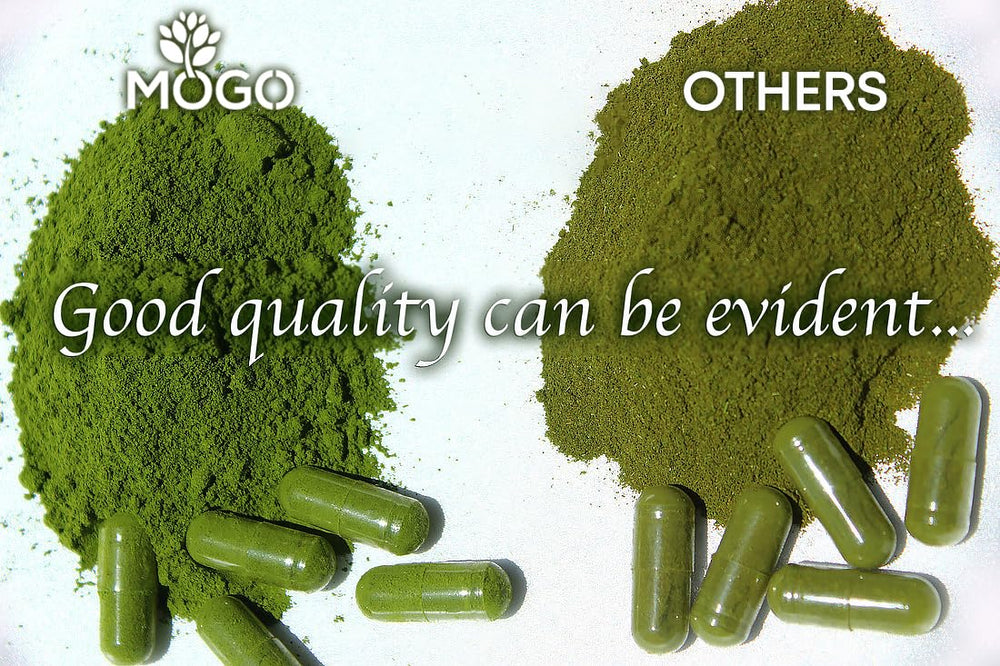 MOGO Moringa capsules bottle on counter with glass of water