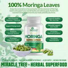 Close-up of MOGO Moringa capsules powder-green essence emphasizing pure moringa leaf powder