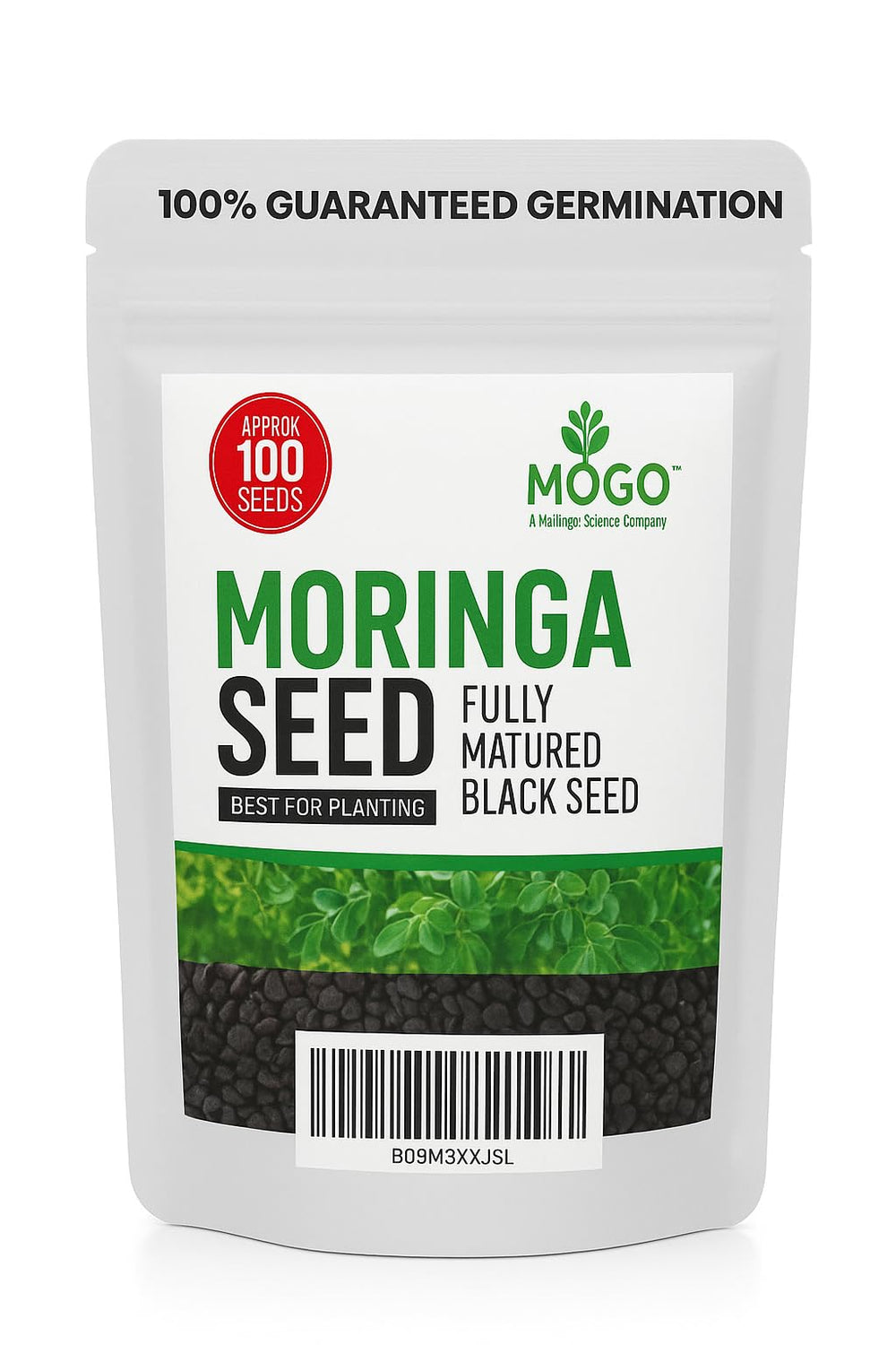 MOGO moringa seeds for planting in a seed packet showing premium quality.