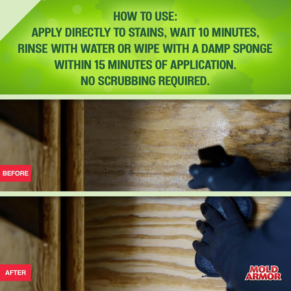 MOLD ARMOR Professional protects plastic surfaces for everyday use