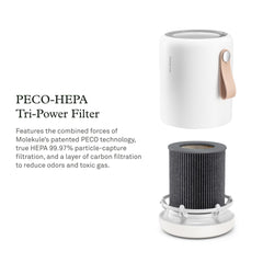 Molekule Mini carbon filter close-up showing odor reduction benefits.