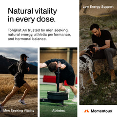 Momentous Tongkat Ali root powder origin image highlights Indonesia-sourced product.