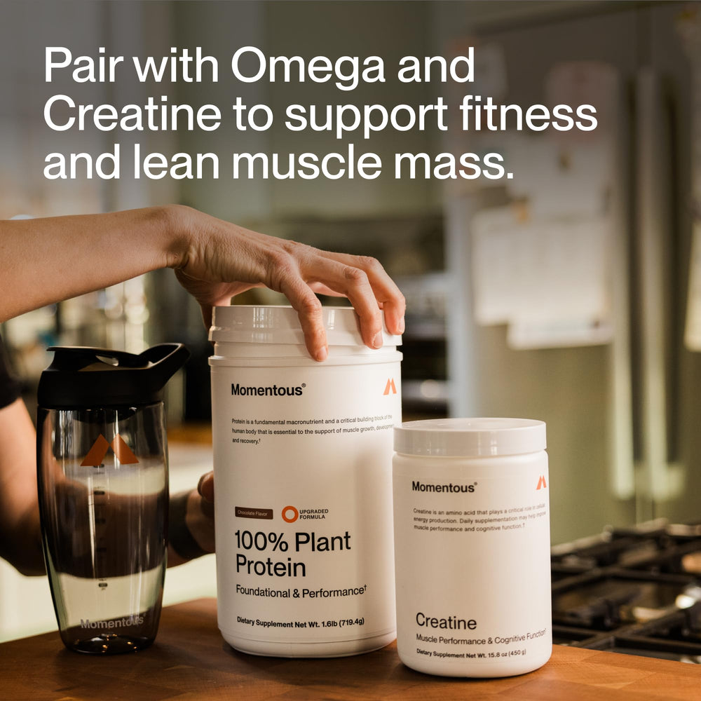 Momentous Vegan Protein Powder Vanilla Spice tub close-up with NSF for Sport badge.