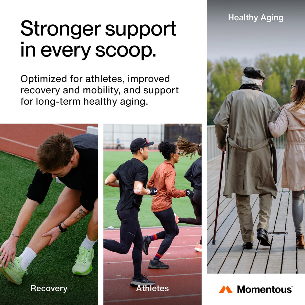 Momentous Vitamin C synergy icon emphasizes collagen synthesis support