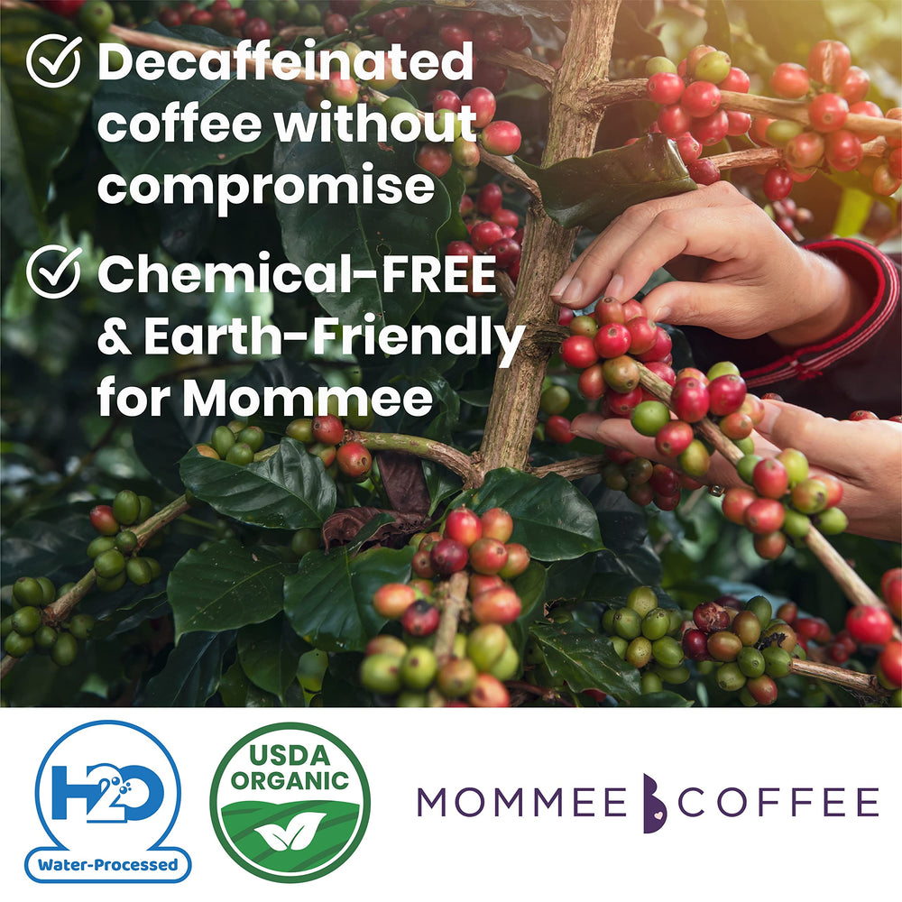 Mommee Coffee hot and cold brewing setup; versatile grind for various methods.