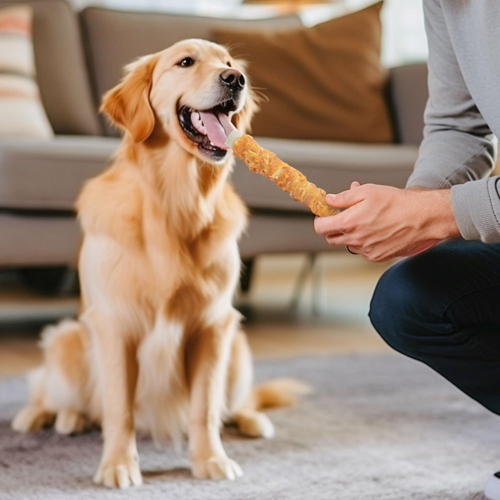 MON2SUN after-sales support logo reinforces trusted service for pet parents.