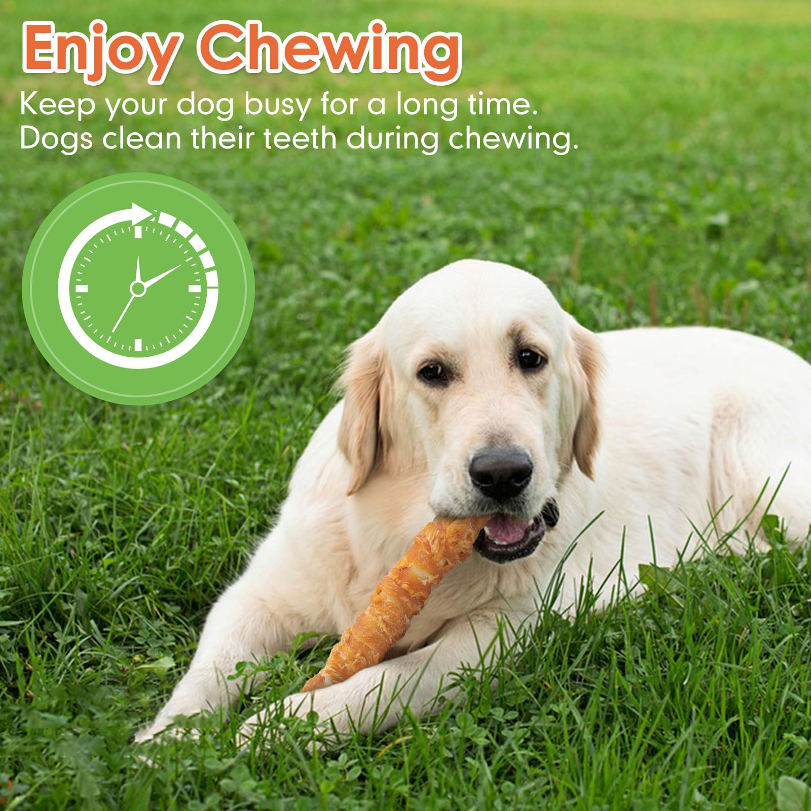 MON2SUN dental chew demonstrates potential teeth-cleaning interaction during chewing.