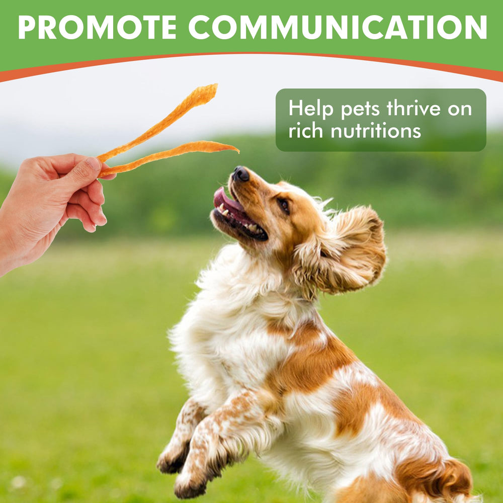 MON2SUN gluten-free and grain-free claim indicates easier digestion for sensitive dogs.