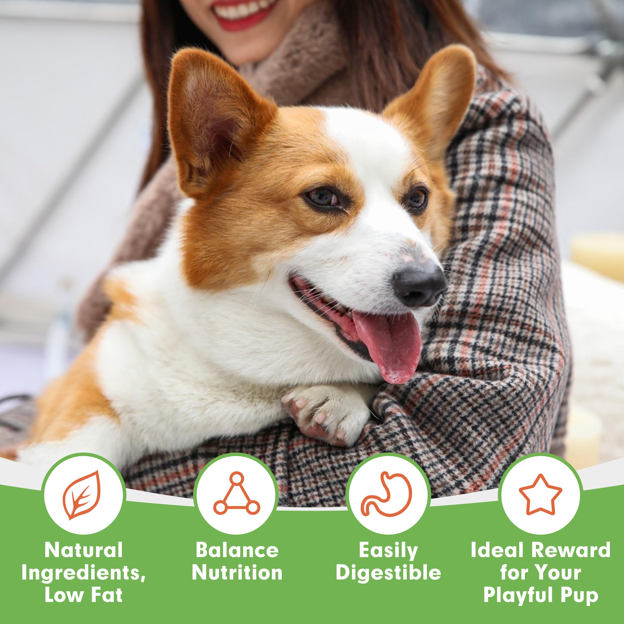MON2SUN omega-3 cod fillet supports coat and skin health visuals