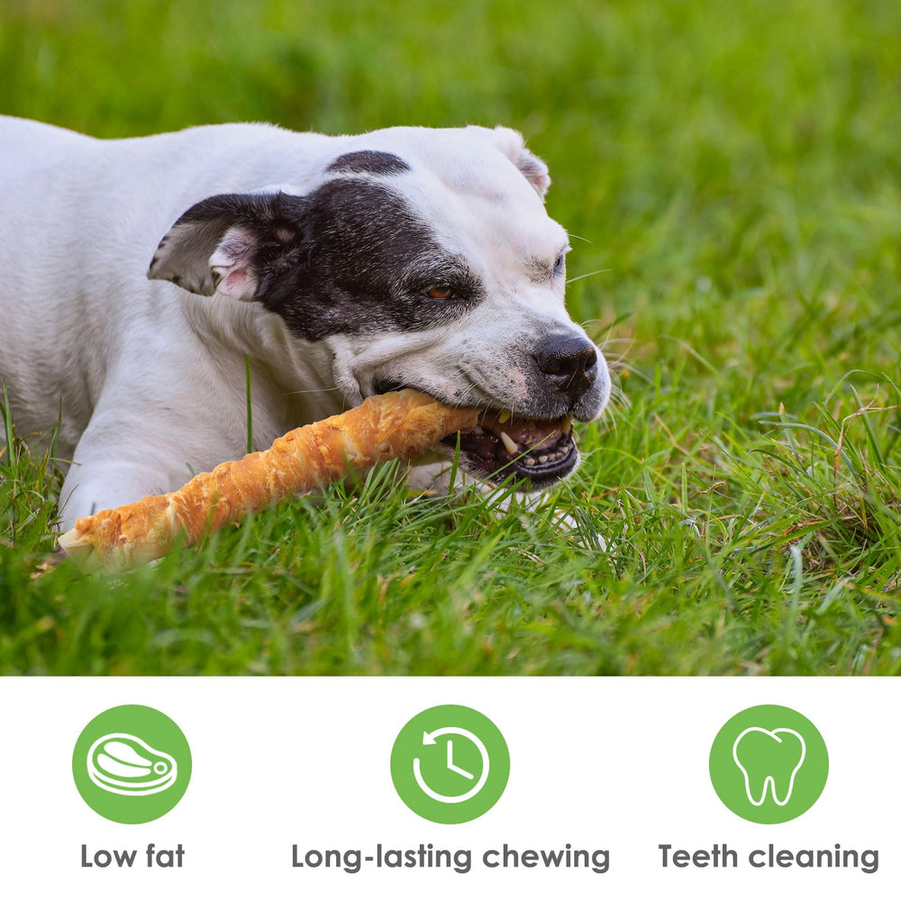 MON2SUN packaging and ingredients highlight natural chicken and rawhide composition.