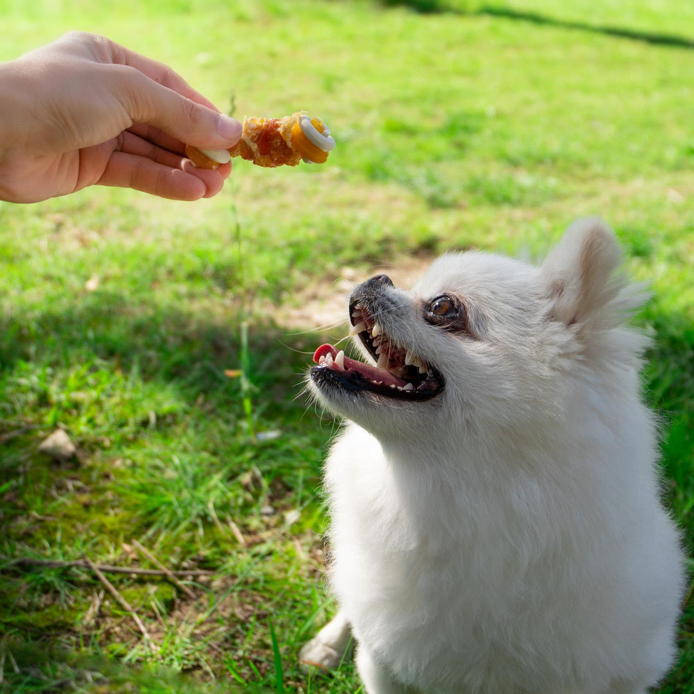 MON2SUN vegetable-infused snacks offering wholesome flavor and nutrition.