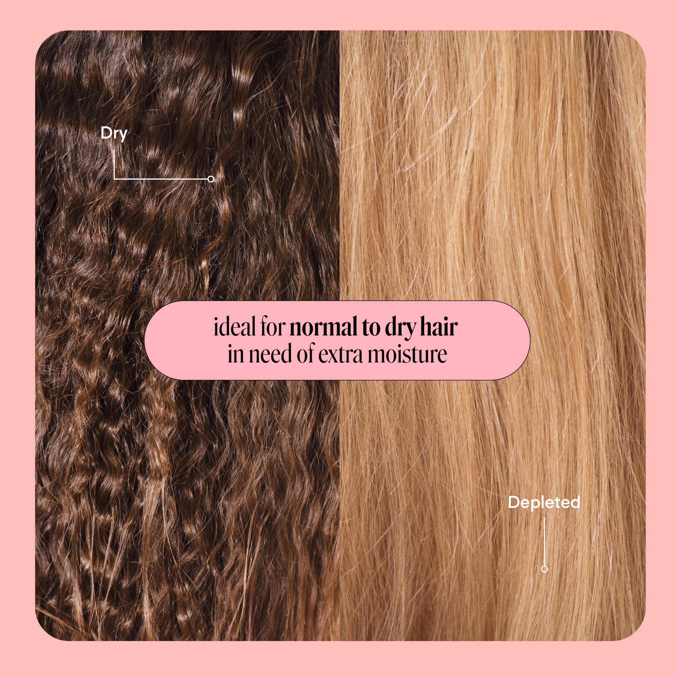 MONDAY Haircare Moisture set in shower stall with cleaning routine