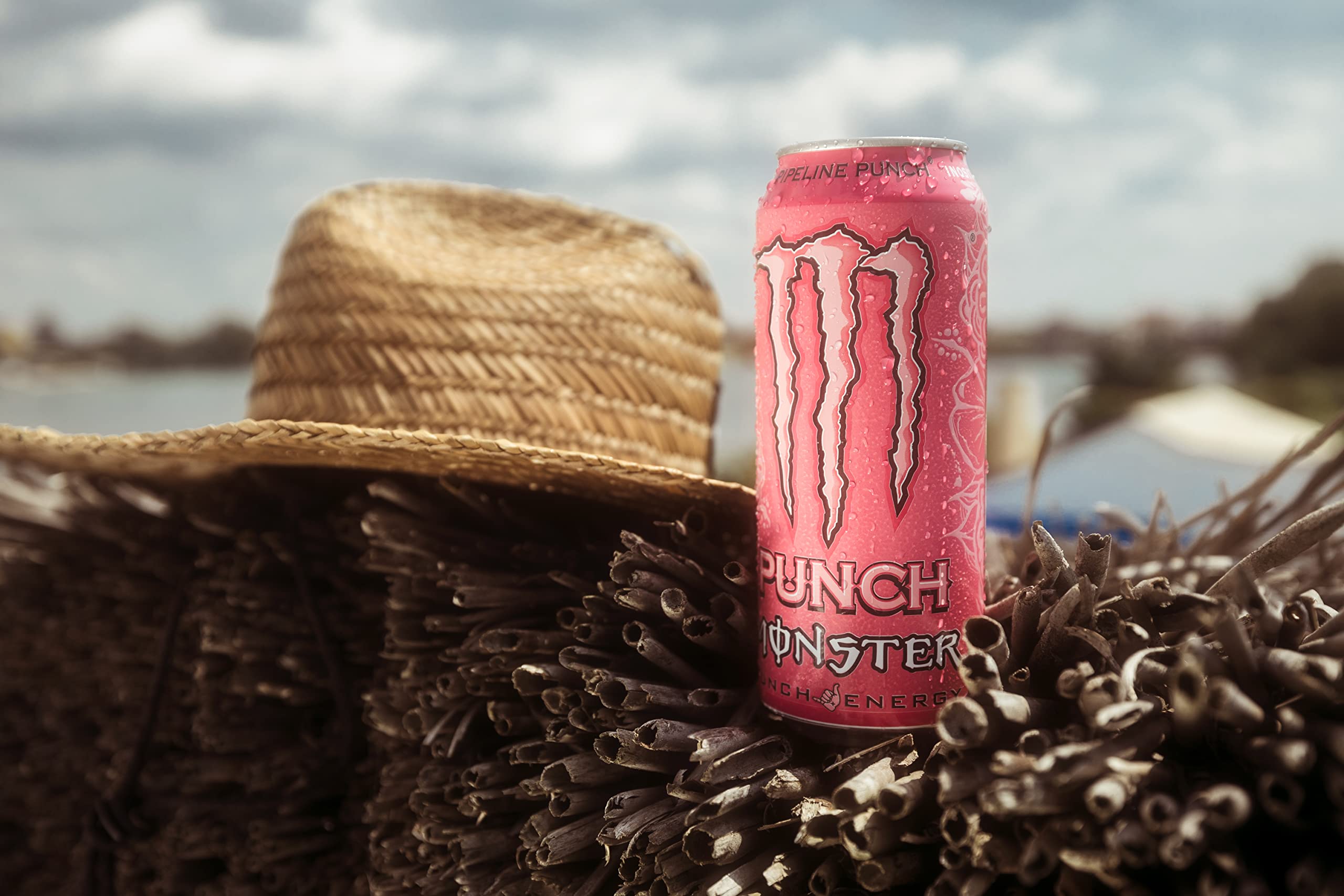 Monster Energy Juice Pipeline Punch 15-pack display emphasizes value and convenience