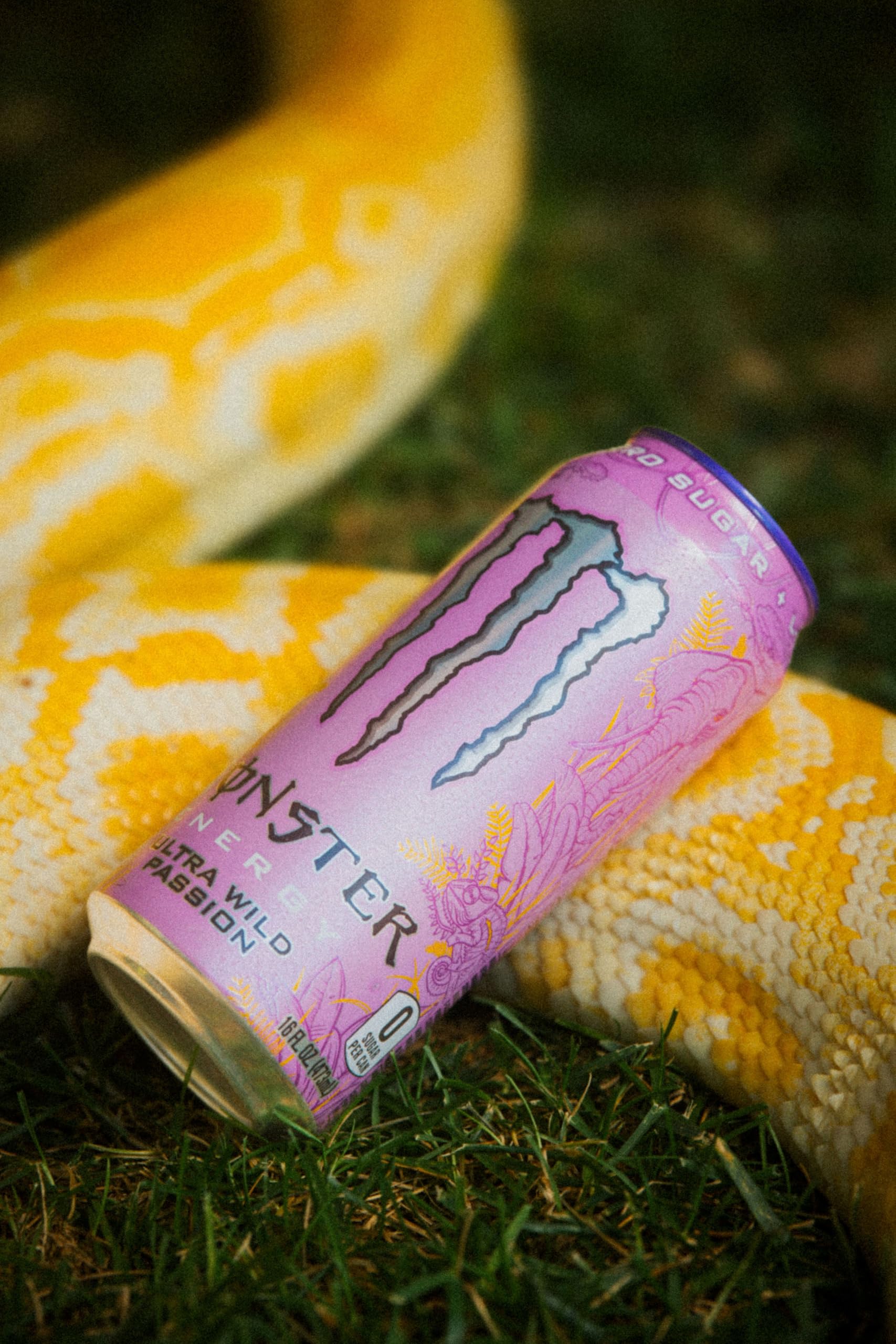 Monster Energy Ultra Wild Passion label emphasizing zero sugar and energy.