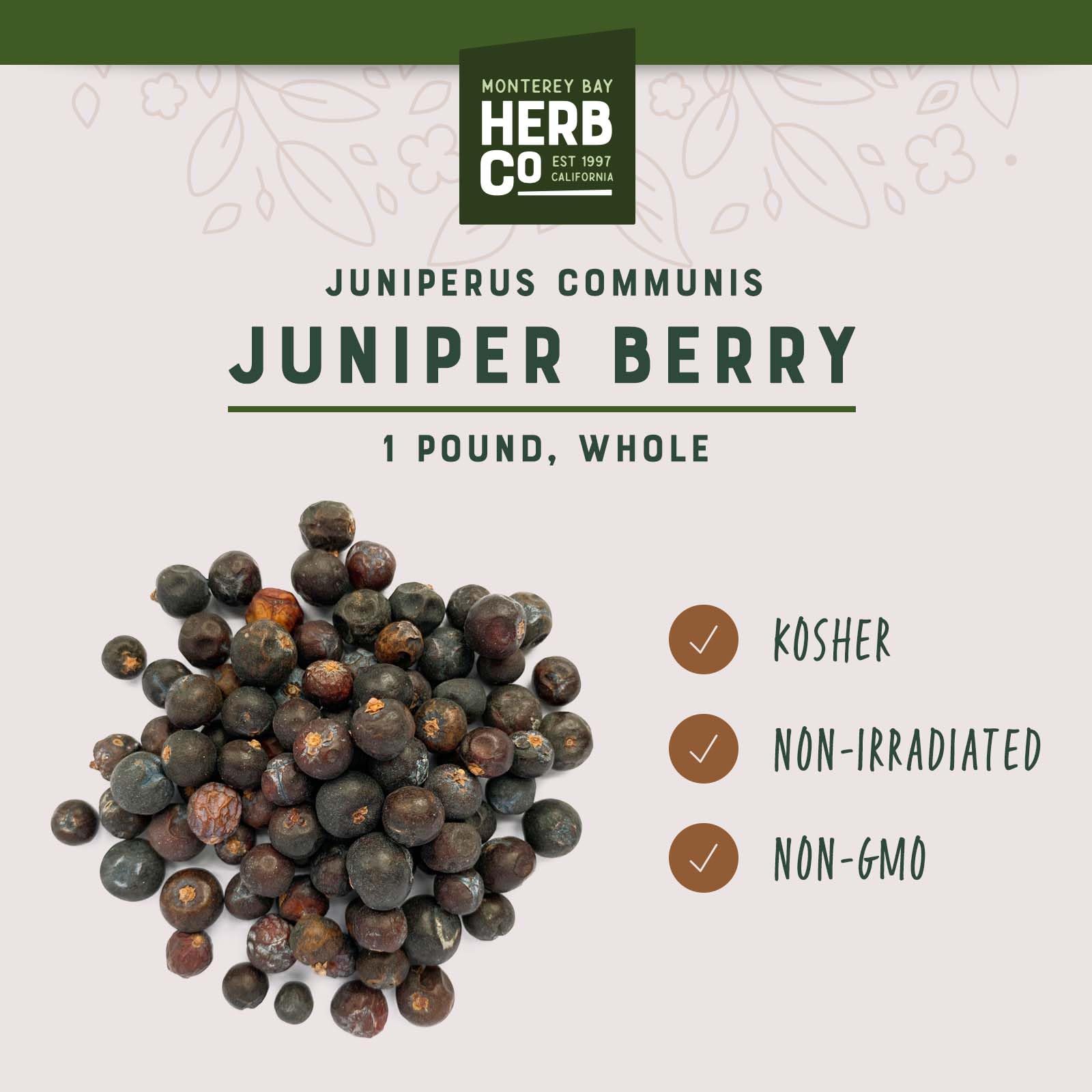 MONTEREY BAY HERB CO Organic Juniper Berries – dried berries in a glass jar for infusions.