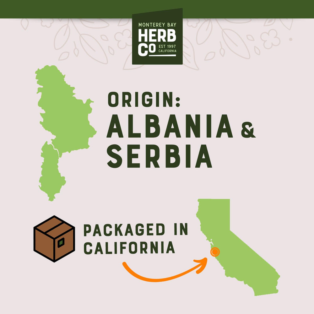 MONTEREY BAY HERB CO Organic Juniper Berries – gin infusion setup with berries.