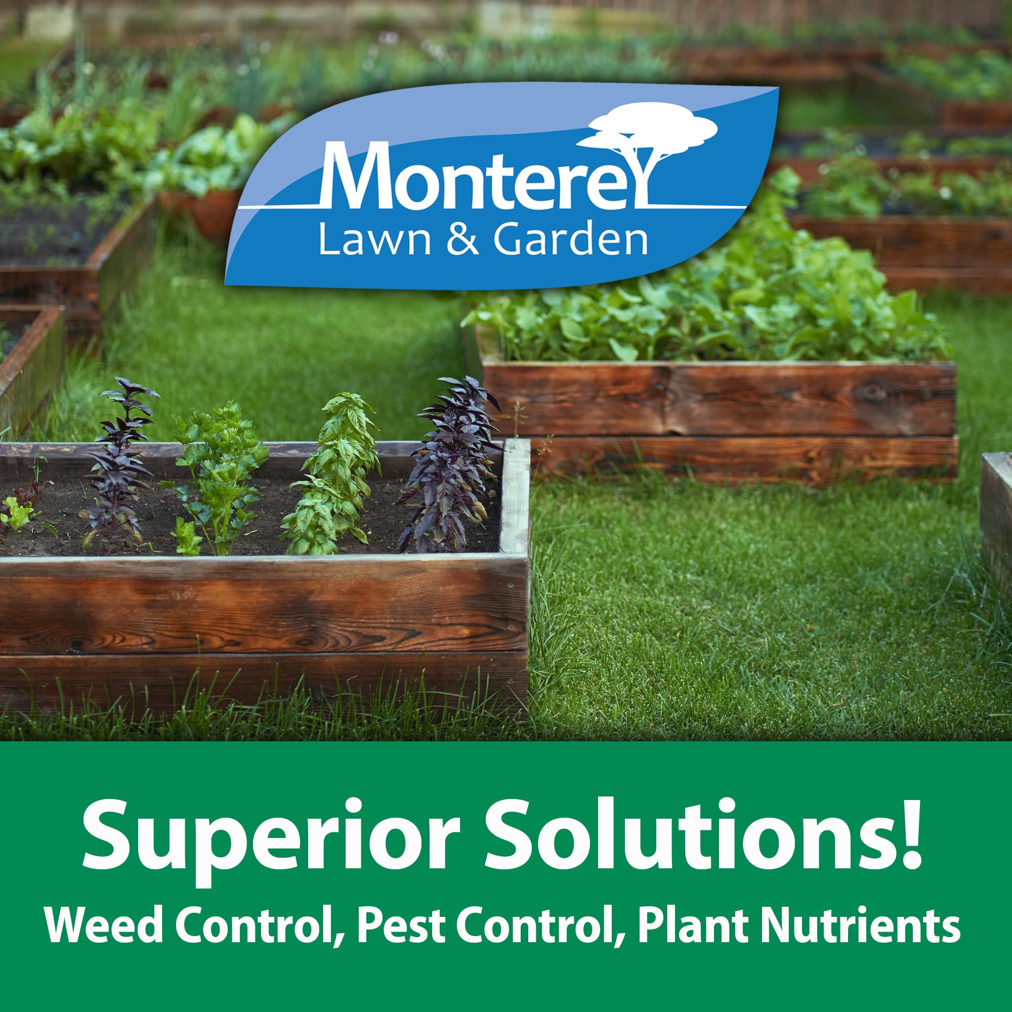 Monterey BT on cabbage leaves helps reduce worm damage.