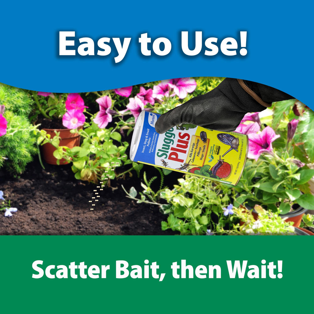 Monterey Sluggo Plus in use near vegetables provides organic pest control.