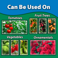 Spray application on plants for quick treatment of listed pests