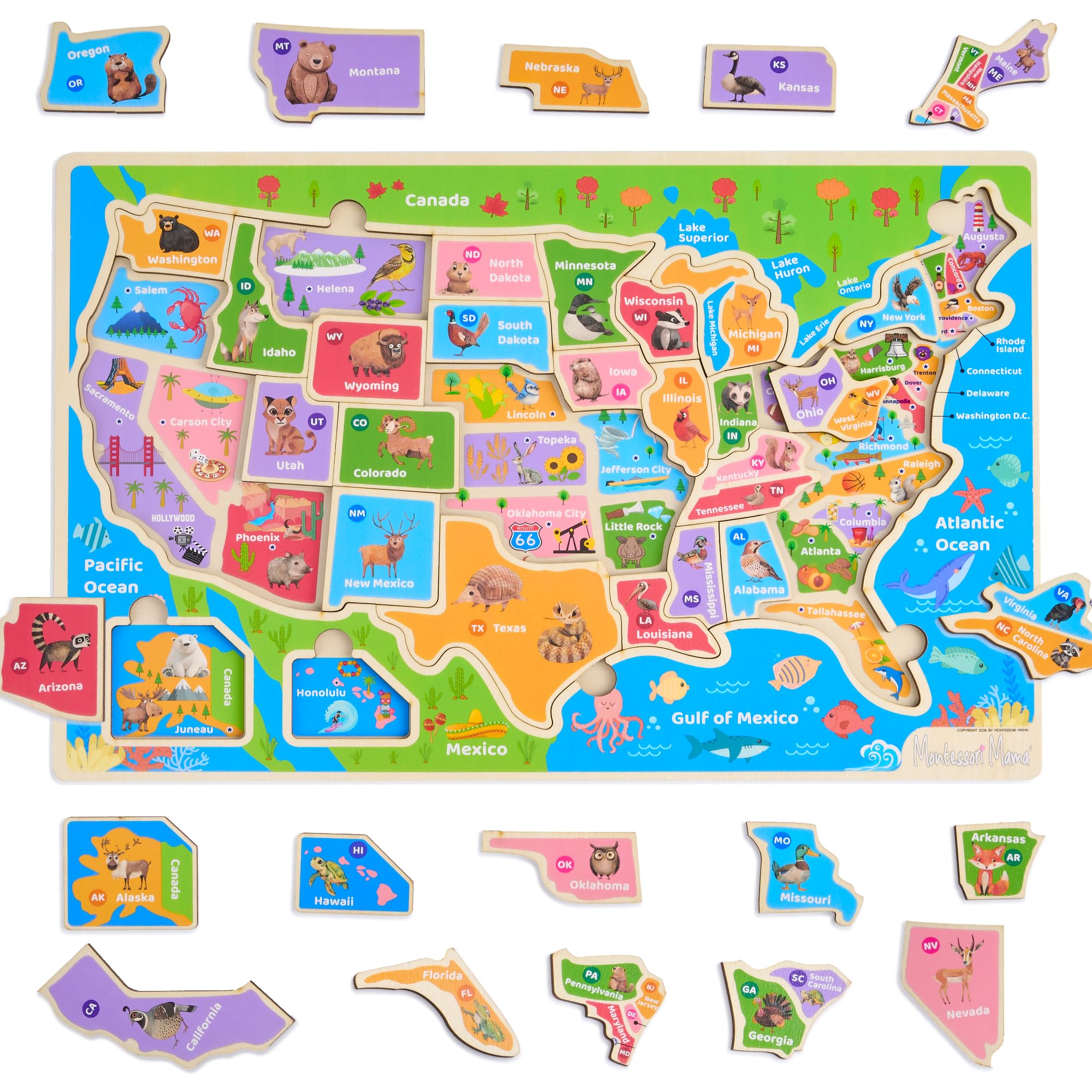 Montessori Mama USA Map Puzzle — assembled view highlighting all states for engaging geography play.