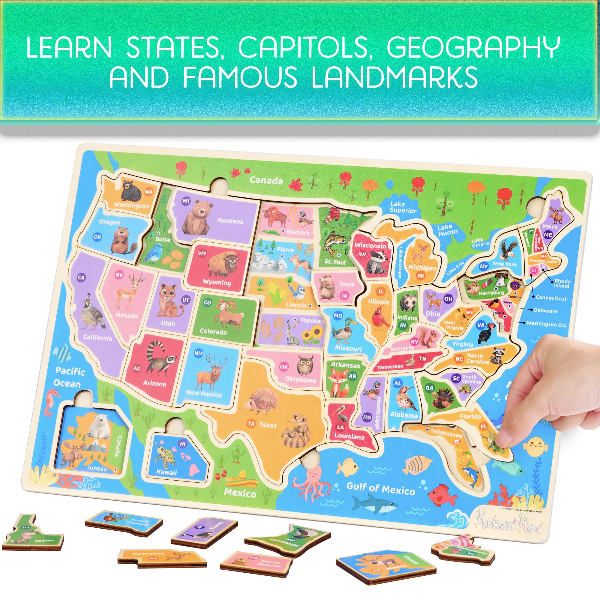 Montessori Mama USA Map Puzzle showing states and capitals for hands-on learning.