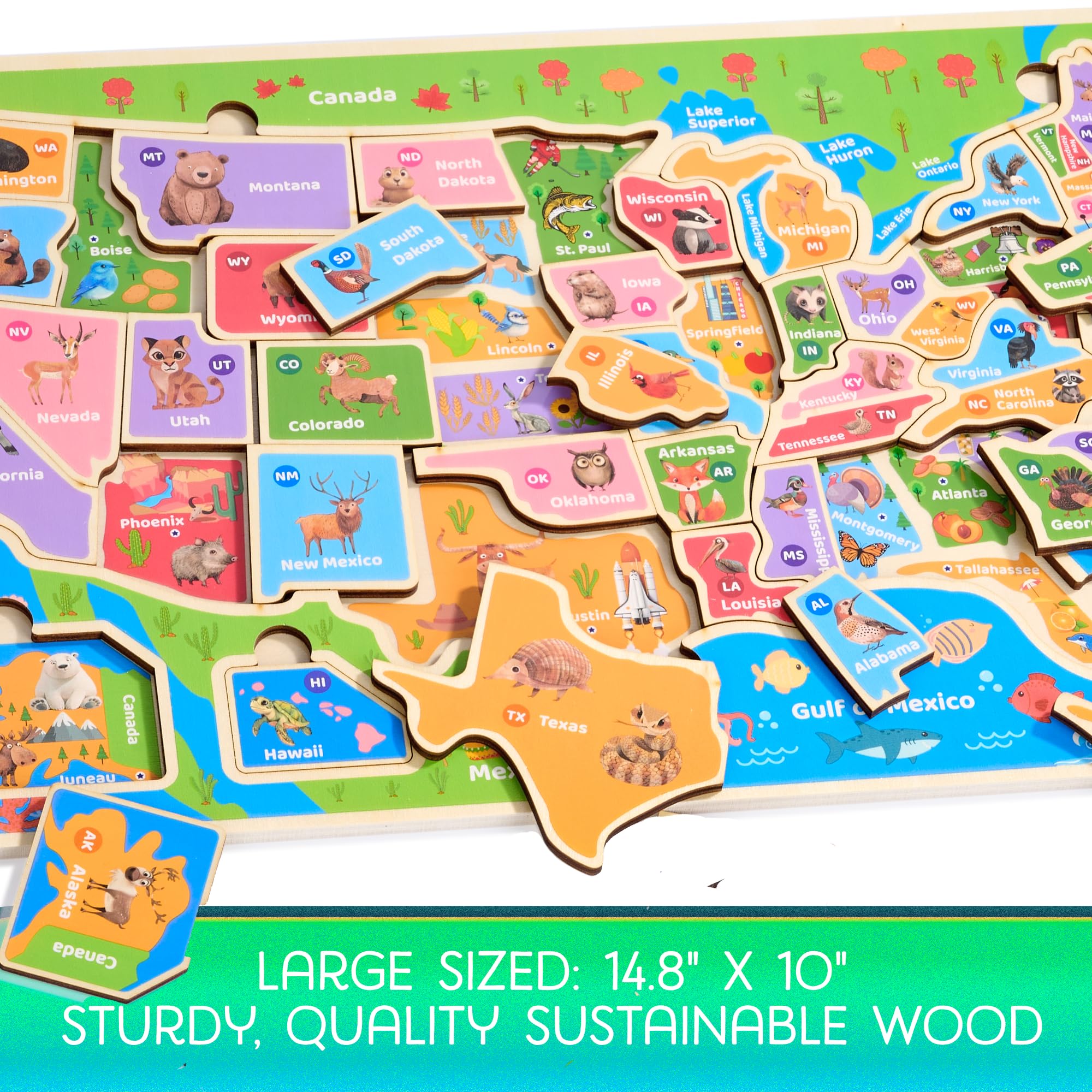 Montessori Mama USA Map Puzzle vibrant colors and smooth surfaces invite tactile play.