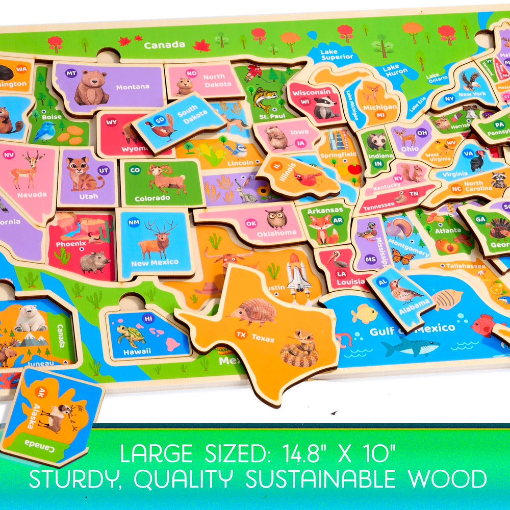 Montessori Mama USA Map Puzzle vibrant colors and smooth surfaces invite tactile play.