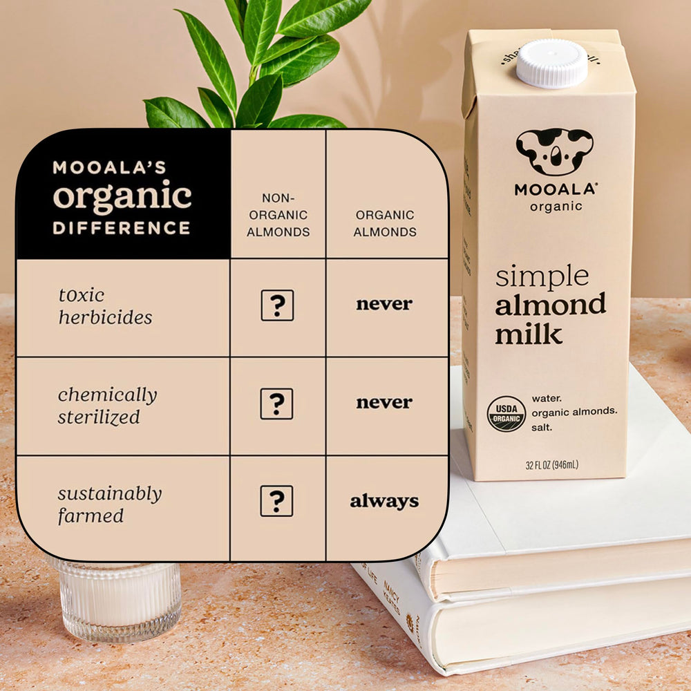 Mooala Simple Almond Milk ingredients: almonds, salt, water, arranged neatly.